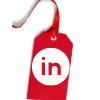 Linkedin IPSESA